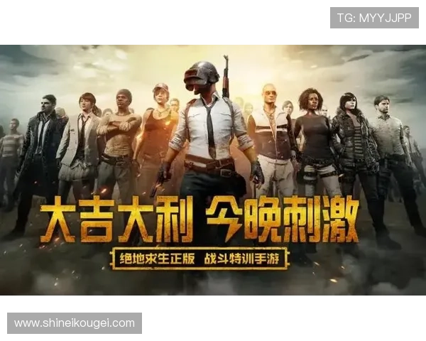 pabg手游国际服最新上线版本全面解析与玩家体验指南