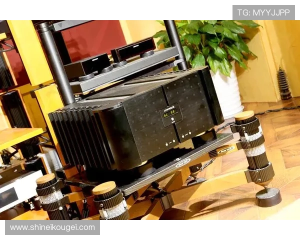 欧博a18个性化表盘设计，丰富的主题选择满足不同用户的审美需求，彰显个性风采