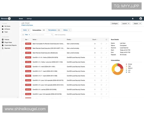 K8视讯安全风险评估与漏洞检测方法研究